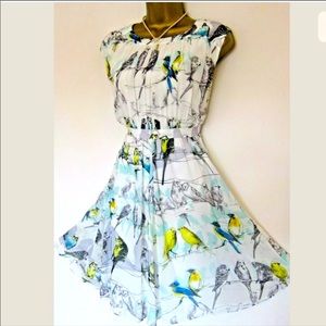 Ted Baker~ Canary Print ~ Skater Dress Tb 4 US 10